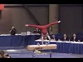 Montage gymnastic.Evolution elements 3 - Pommel Horse Montage gymnastic.Evolution elements 3 - Pommel Horse
