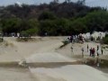 piñas en el rally