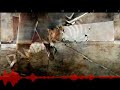 Danbaka II: bigarren kontzertua