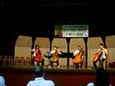 Audi��o de Violoncelo