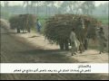 استعراض الصوت   الفيديو