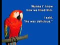 Funny Bird Story