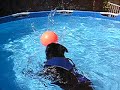 swim dive and ball