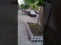 Click here to watch this video Walk down Colgate ave nyc