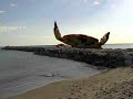 EL HORROR QUE VINO DEL MAR