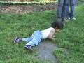 videos de Dario Para Abajo