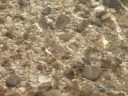 melilla bajada cala de trapana cuevas del conventico