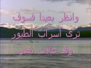 حياتك n.j حياتك n.j