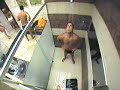BBB 7 - DANIEL - BANHO/ SE SECANDO SEM SUNGA