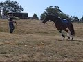 Jaq Lungeing