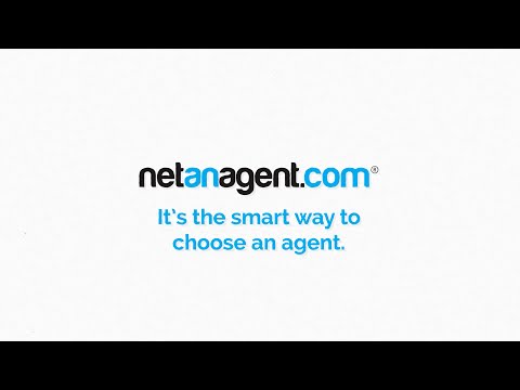 Introducing netanagent.com