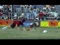 UFO/AWI Dogfrisbee Worldfinals 06 UFO/AWI Dogfrisbee Worldfinals 06