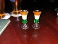 IRISH SONG ~ TRUE IRISHMAN