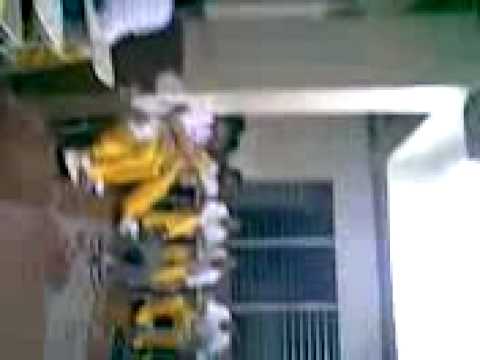 elladacat -