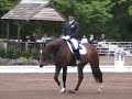 REGENT & CHRISTOPHER HICKEY in PSG at 2007 USEF NAT'L