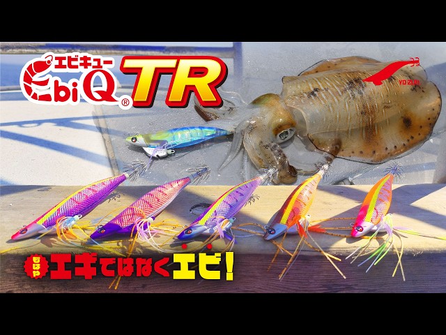 Ebi Q® TR - 釣具の総合メーカー デュエル Ebi Q® TR - 釣具の総合メーカー デュエル