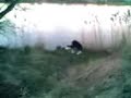 moi ki f� le con a yutz