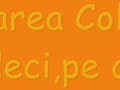 Pasarea-Colibri-Adio