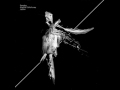 Sandoz - Ocean Reflection
