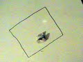 Stop Motion Whiteboard 1