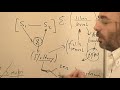 Freud-Lacan: Estructuras Cl�nicas en Psicoan�lisis - parte 2 -