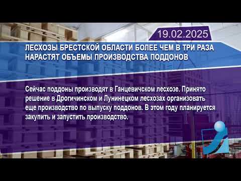 Новостная лента Телеканала Интекс 19.02.25.