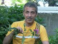 Azap Çiçe?i - Ercan Turgut Azap Çiçe?i - Ercan Turgut