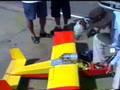 videos de jaburu voando.WMV
