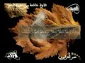 curan.flv curan.flv