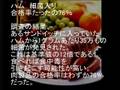 ( `ハ´)中国では動物も大喜びで繁殖 +毒食品 +爆発製品 3/4