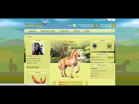 how to bid on howrse