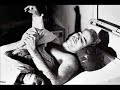 McCain Celebrity