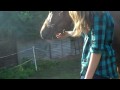 Lola Rose (new horsey xD)