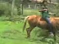 enock muntado  en un caballo  y la risa de mono