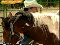 Horse Training Video: 11 of 12 Horse Training Video: 11 of 12