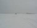 Honda civic coupe in winter time
