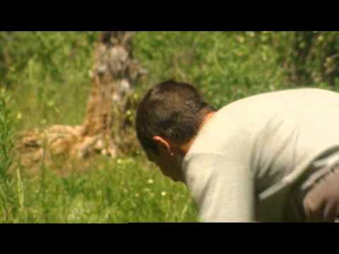 how to snap a squirrel's neck