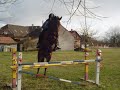 Pep�k louka-skoky