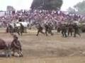 war and peace show