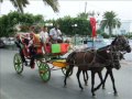 Projets jeunes �t� 2007