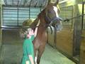 videos de Dats One Speechless Cowboy