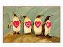 For my friend robyn, The penguin Lover!