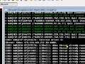 www.decimation-317.com DDoS'd For Palidino76
