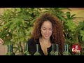 JustForLaughsTV - Wine Disaster Prank