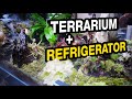 ArcadiA - carnivorous terrarium II