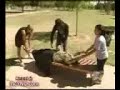 Mind Freak- criss angel- woman in half