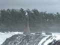Surprise Wave - Kauai Surprise Wave - Kauai