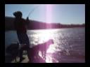 Lake Lanier 30lb Big Striper Lake Lanier 30lb Big Striper