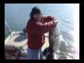 videos de Lake Lanier 30lb Big Striper