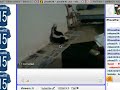 A Cool Skunk Taking a Shit A Cool Skunk Taking a Shit
